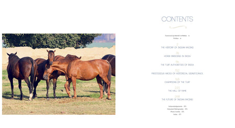 Horse Racing in India: A Royal Legacy - Retail Maharaj