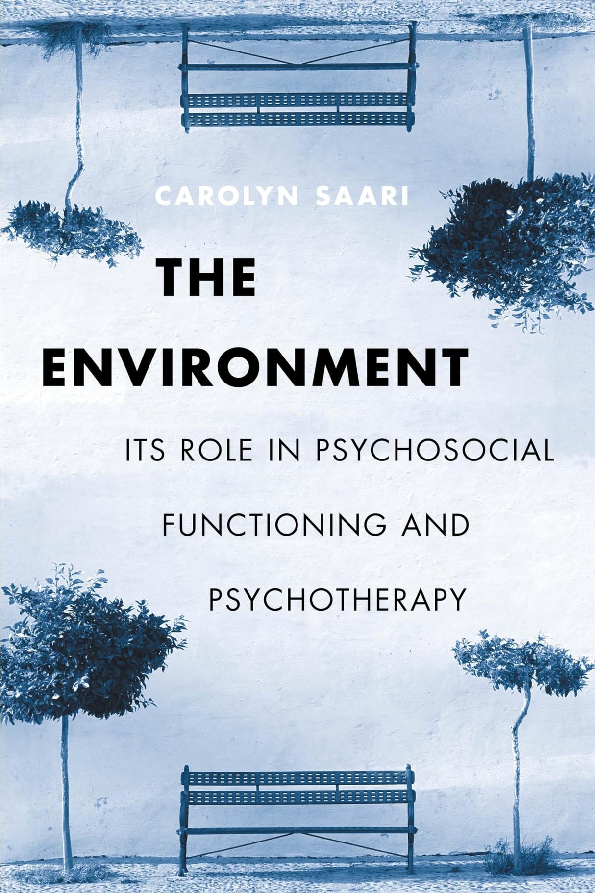 The Environment: Its Role in Psychosocial Functioning and Psychotherapy - Retail Maharaj
