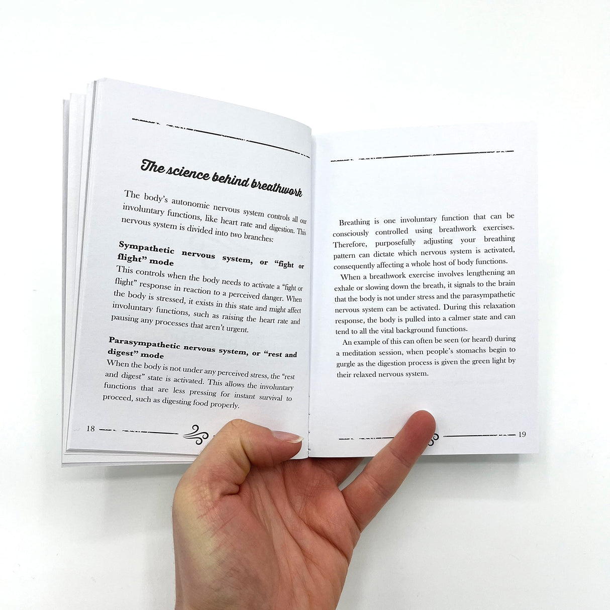 Little Book of Breathwork: Find Calm, Improve Your Focus and Feel Revitalized with the Power of Your Breath - Retail Maharaj