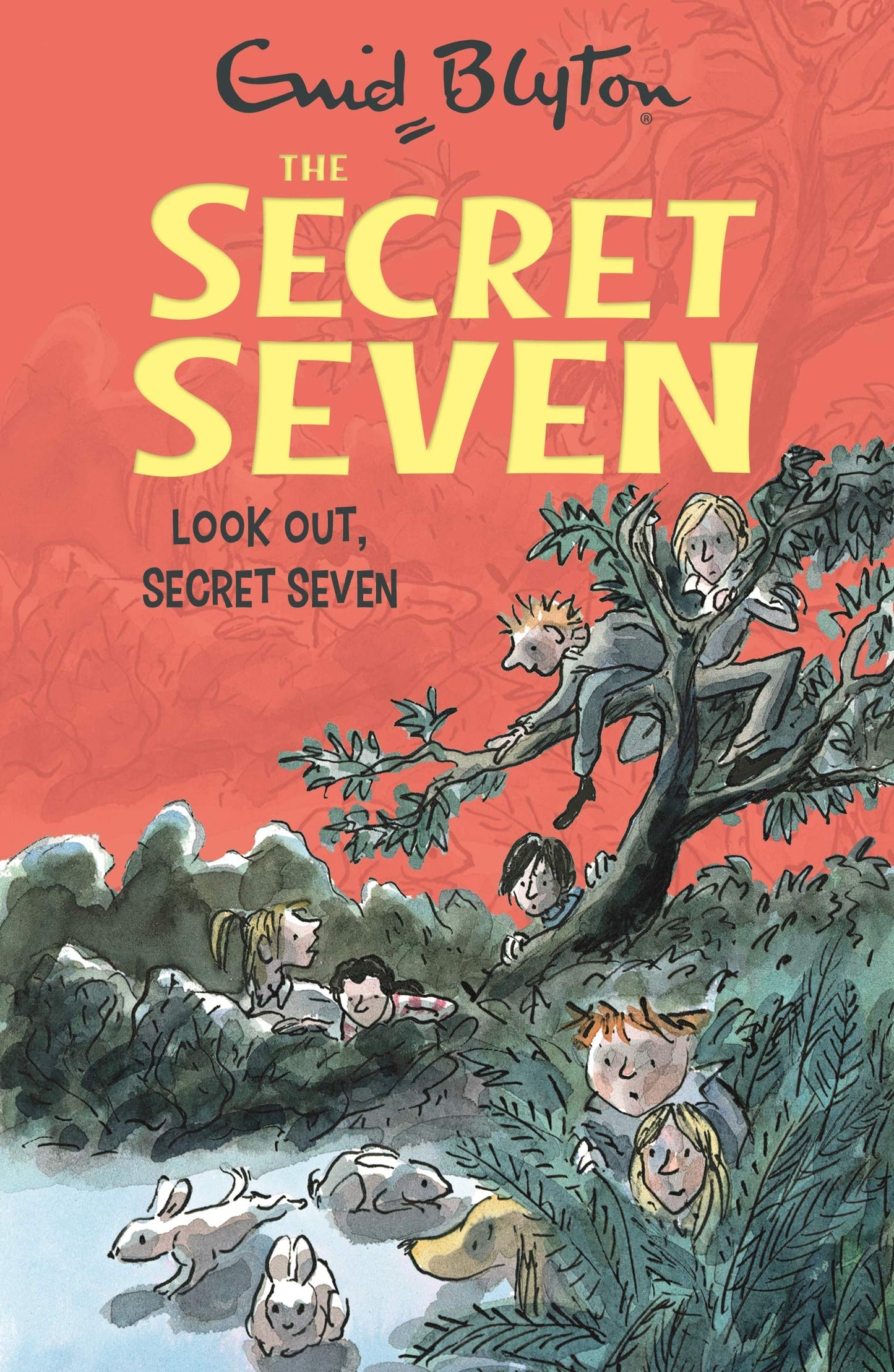 SECRET SEVEN:14: LOOK OUT SECRET SEVEN