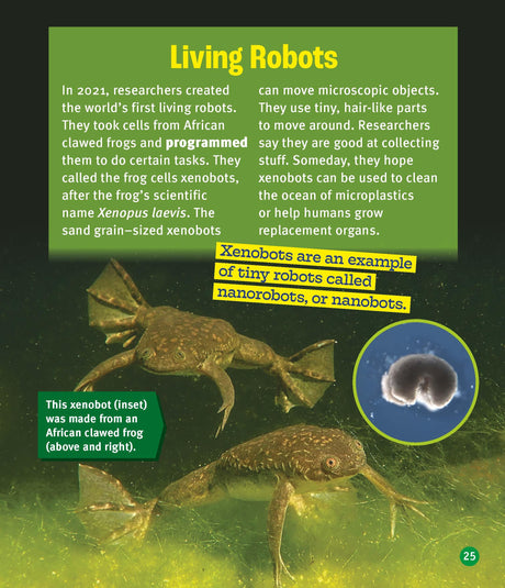 A True Book: Our Digital World: Robots Helping Humans - Retail Maharaj