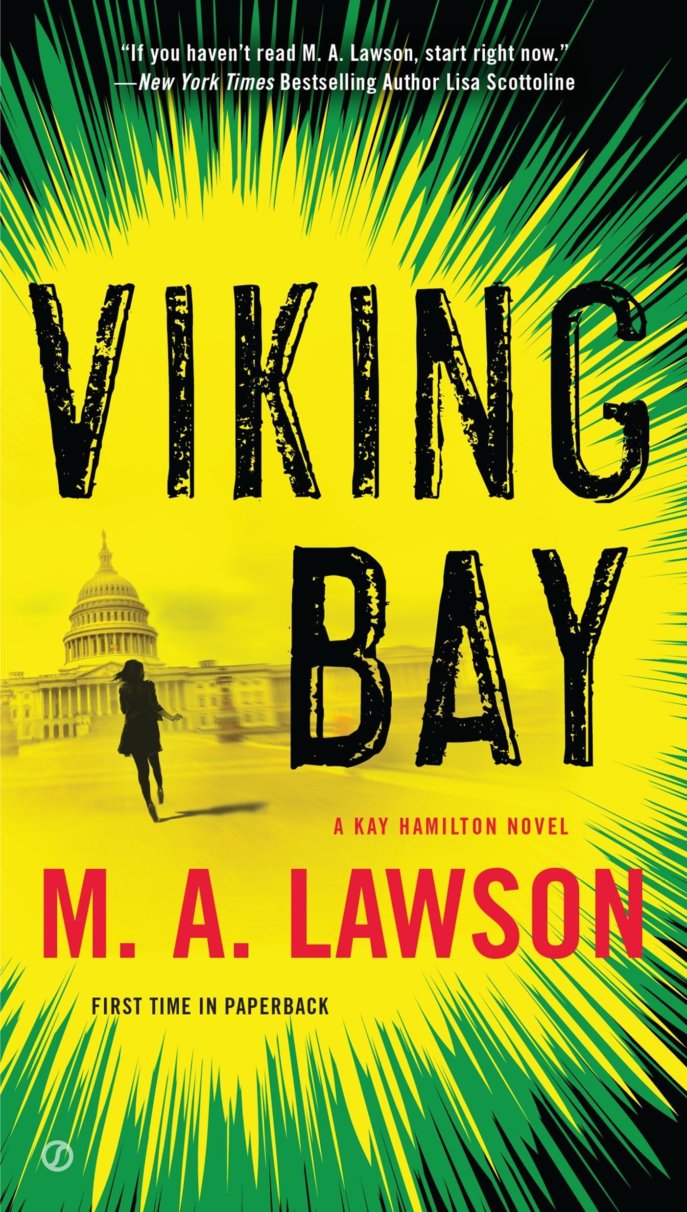 Viking Bay: A Kay Hamilton Novel: 2