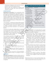 ESSENTIAL ORTHOPAEDICS