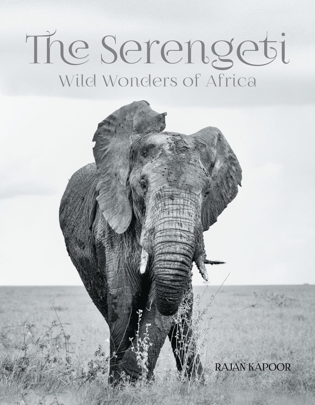 The Serengeti: Wild Wonders of Africa - Retail Maharaj