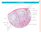 HISTOLOGY PRACTICAL MANUAL