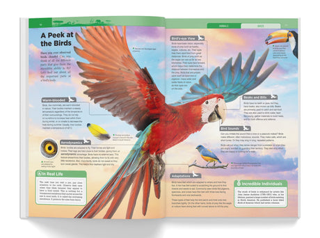 Knowledge Encyclopedia Boxed Set 8 Hardcover Books For Kids Age Group 10+ Total No. Of Pages 1536 192 Pages Per Book Of A4 Size Topics-World History Space Planet Earth Inventions & Discoveries - Retail Maharaj