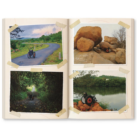 Go Wild: Stories, essays and comics that celebrate the Earth - Retail Maharaj