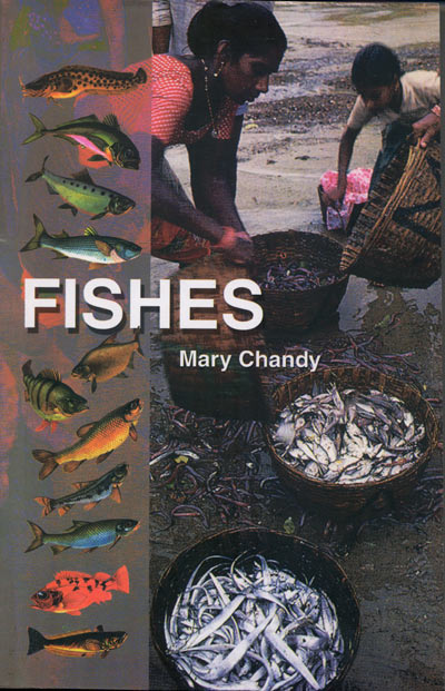 FISHES - Retail Maharaj