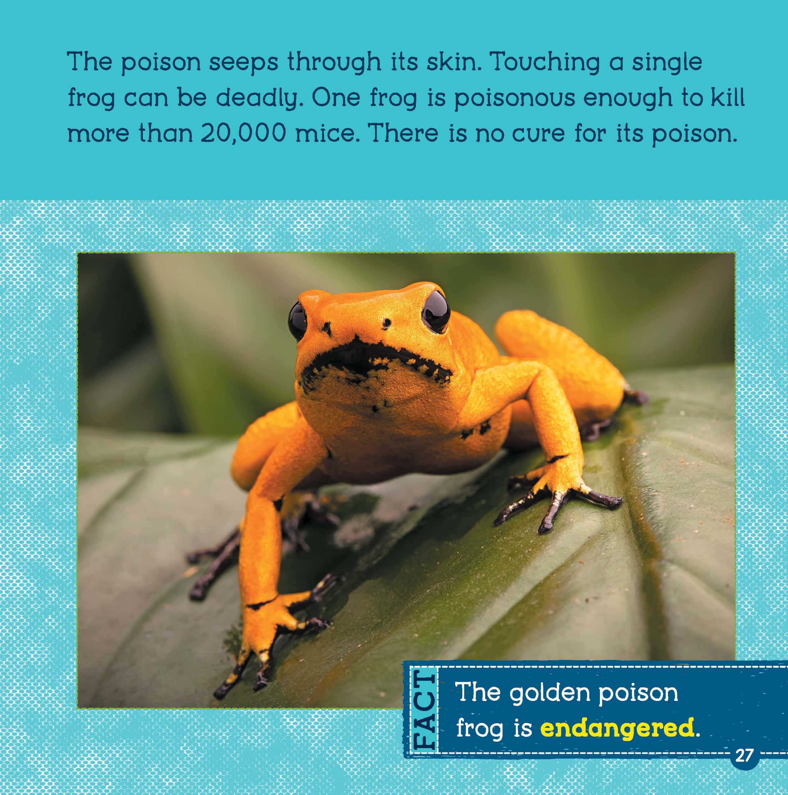 Poisonous Animals (Wild World: Top 10)