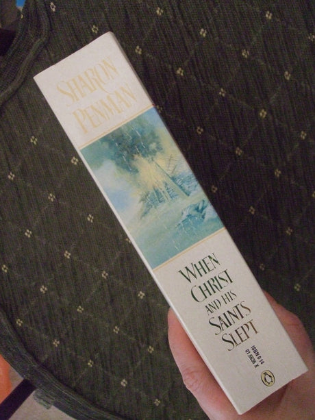 When Christ and His Saints Slept - Retail Maharaj