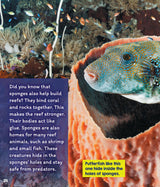 Learn About: Animal Homes: Reefs - Retail Maharaj