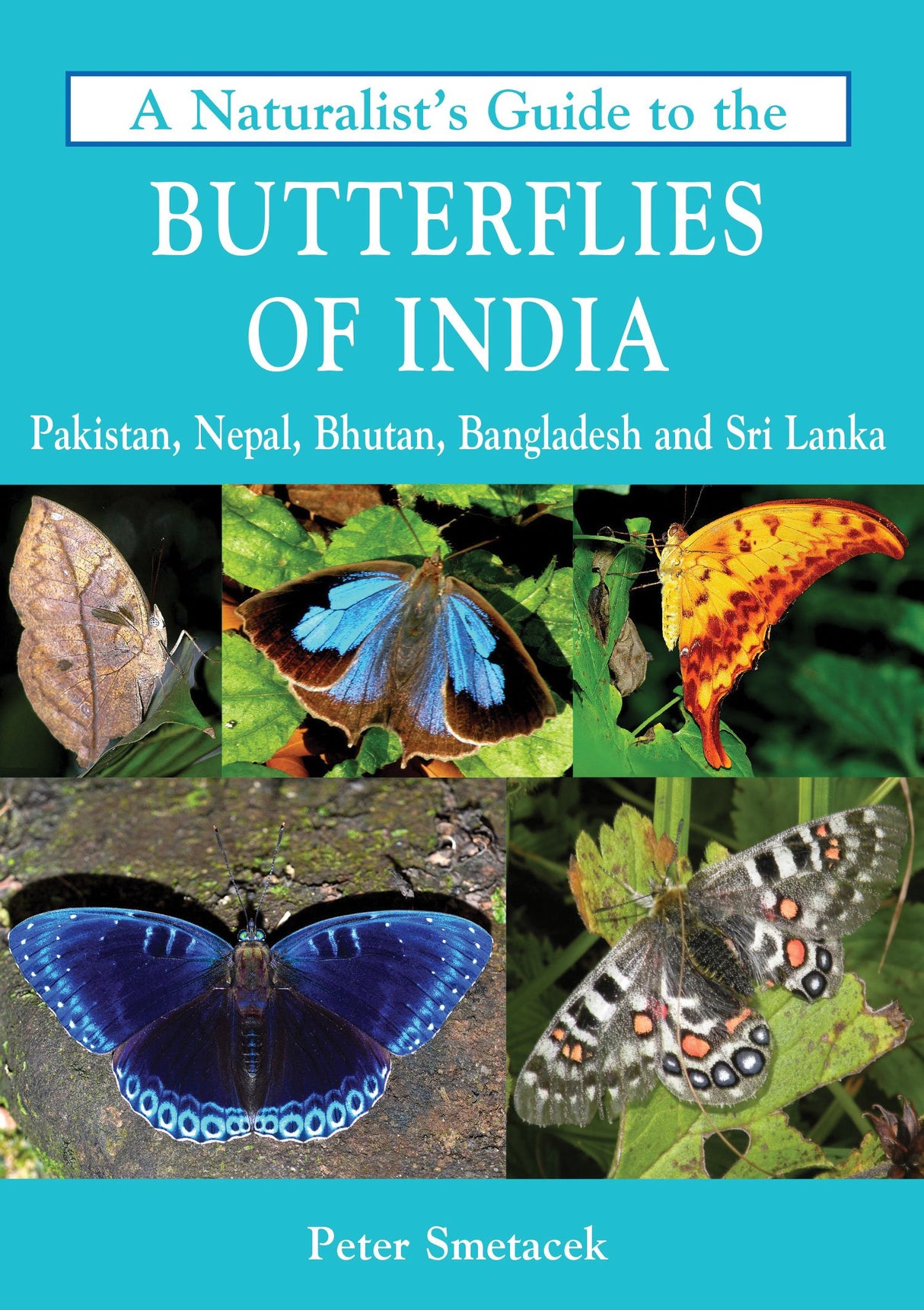 A Naturalist'S Guide To The Butterflies Of India - Retail Maharaj