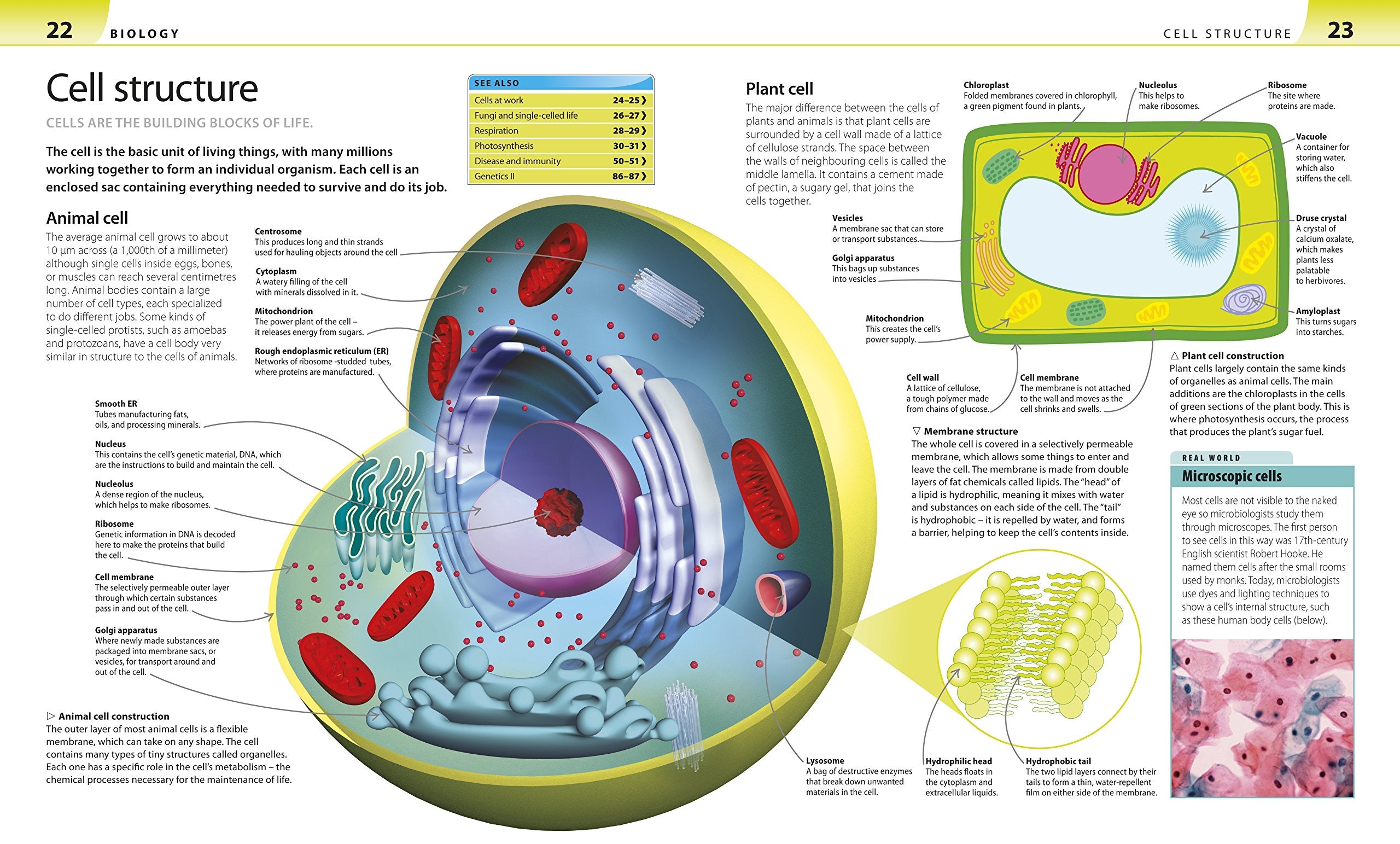 Help Your Kids with Science: A Unique Step-by-Step Visual Guide, Revision and Reference