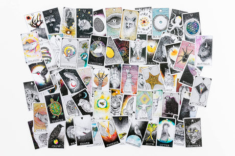 Wild Unknown Pocket Animal Spirit Deck, The - Retail Maharaj
