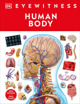 Human Body - Retail Maharaj
