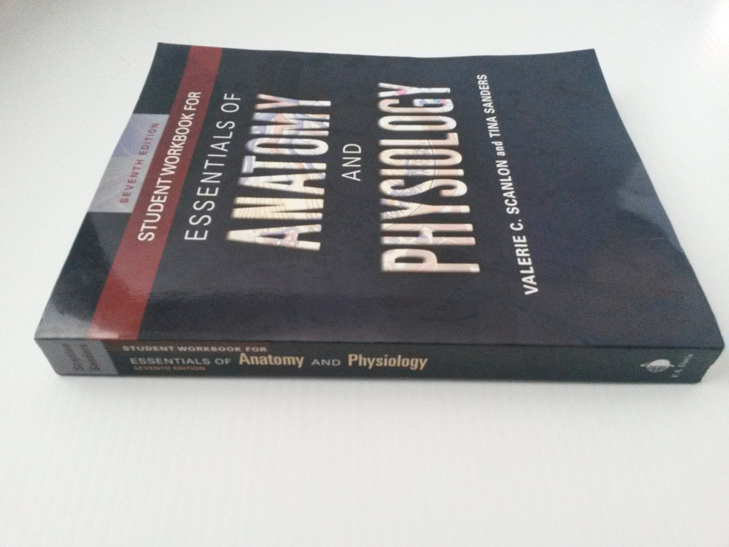 Student Workbook for Essentials of Anatomy and Physiology 7e