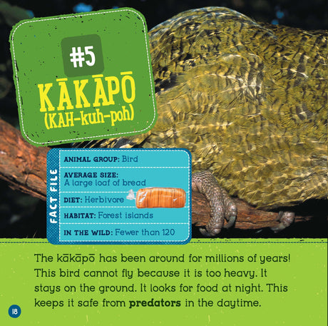 Animals At Risk (Wild World: Top 10) - Retail Maharaj