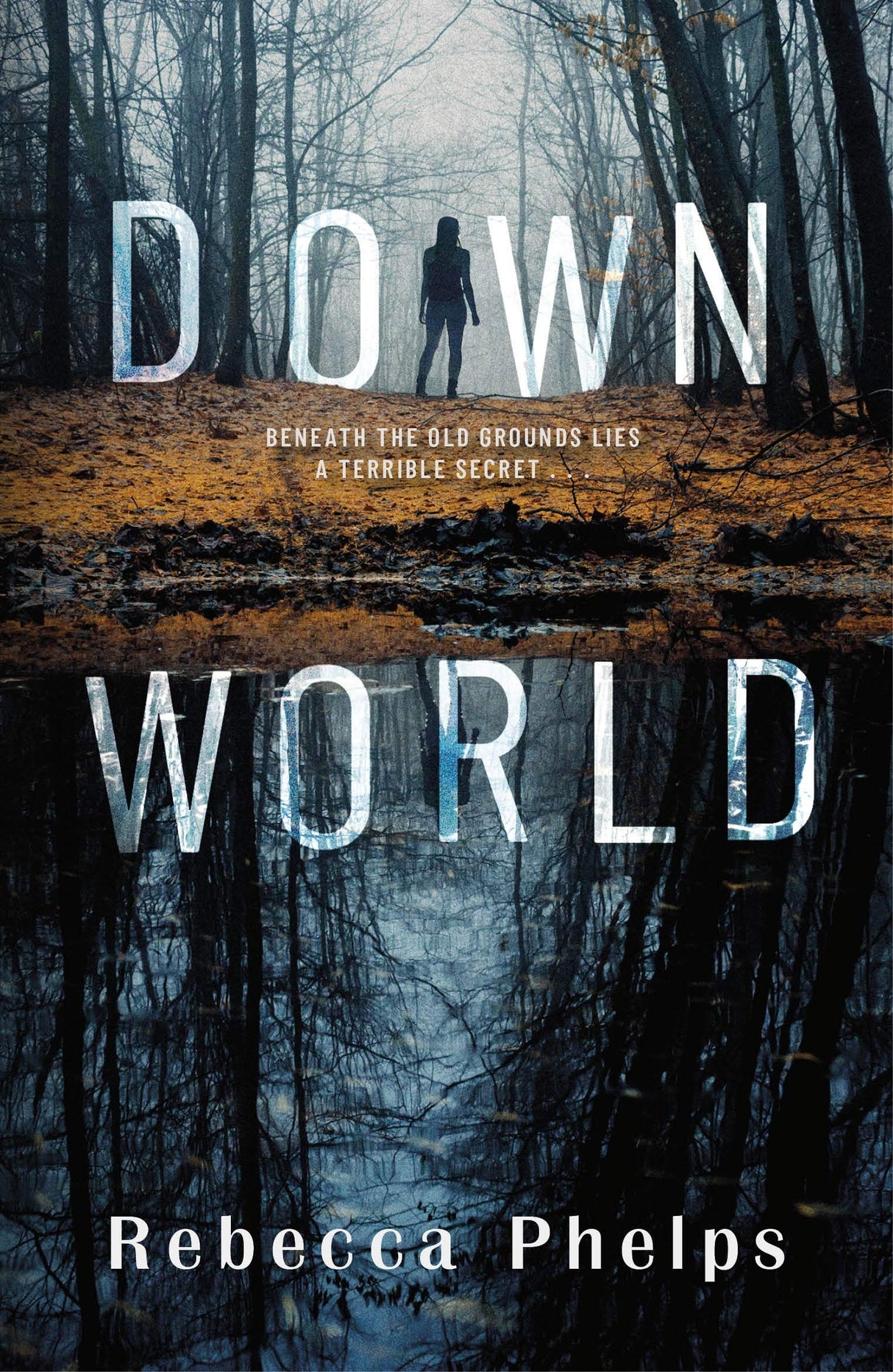 Down World (A Wattpad Novel)