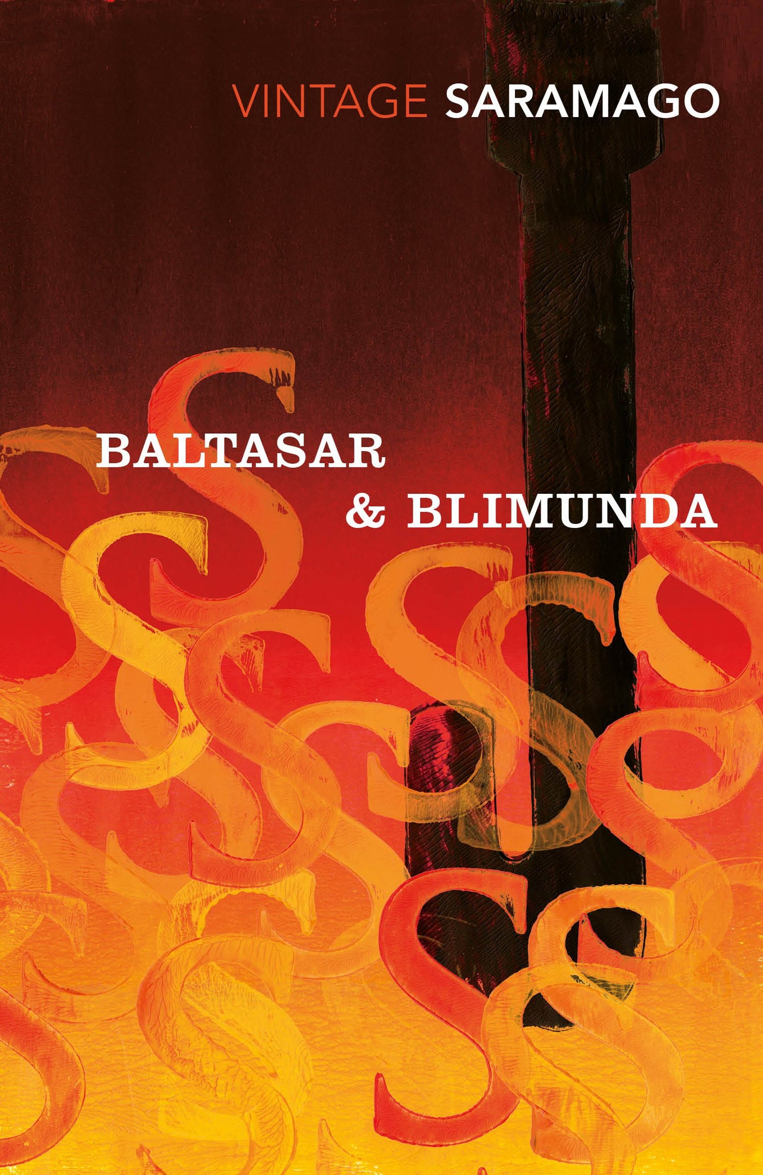 Baltasar &amp; Blimunda (Panther S)