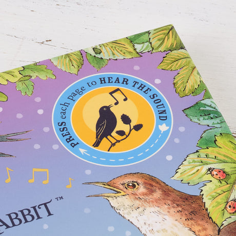 Peter Rabbit: Peter's Nature Walk: A Sound Book - Retail Maharaj