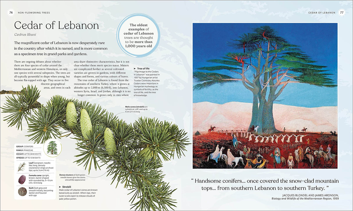 The Tree Book: The Stories, Science, and History of Trees
