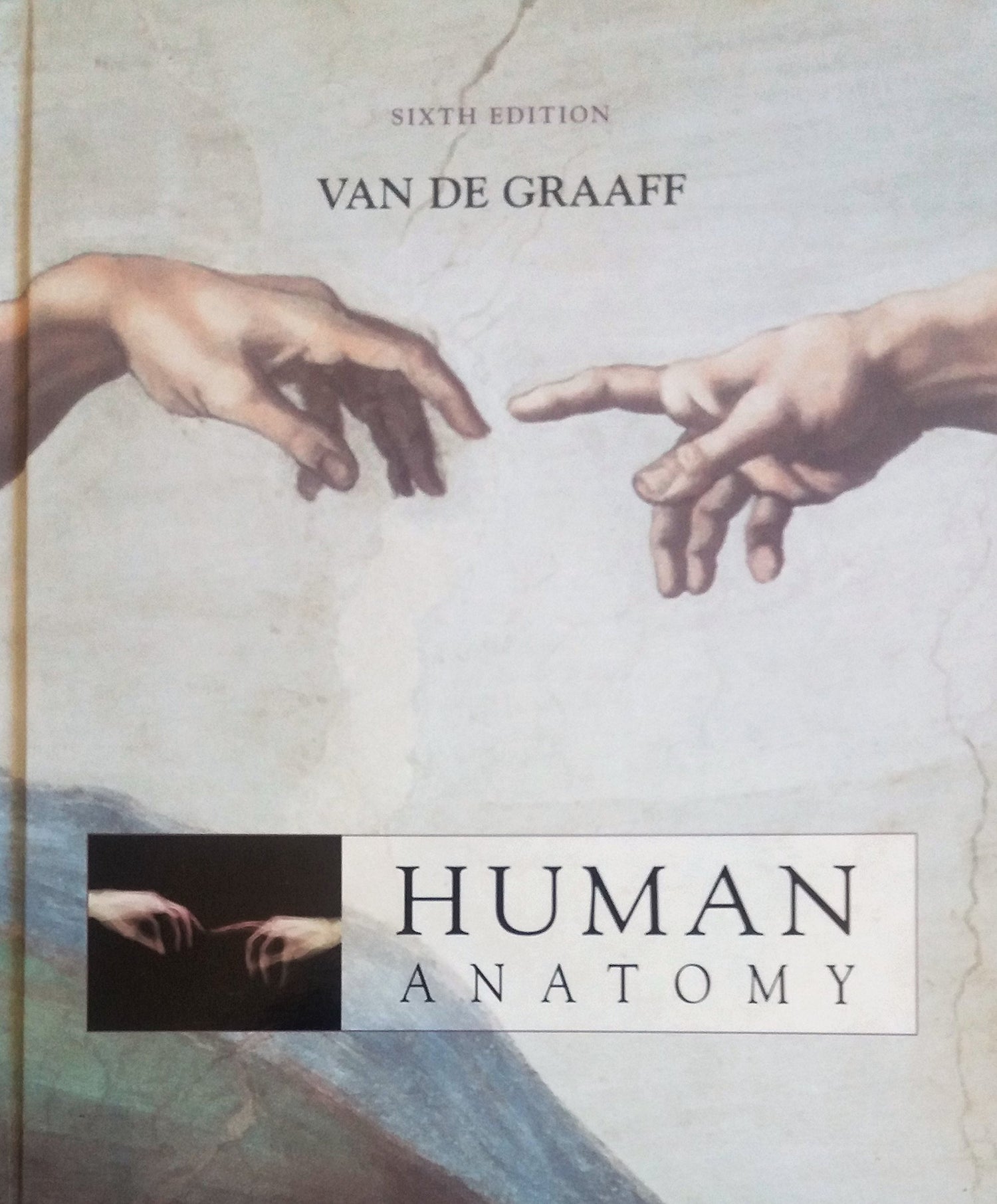 Human Anatomy