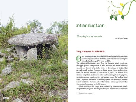 Flora of the Southern Western Ghats and Palnis - Retail Maharaj