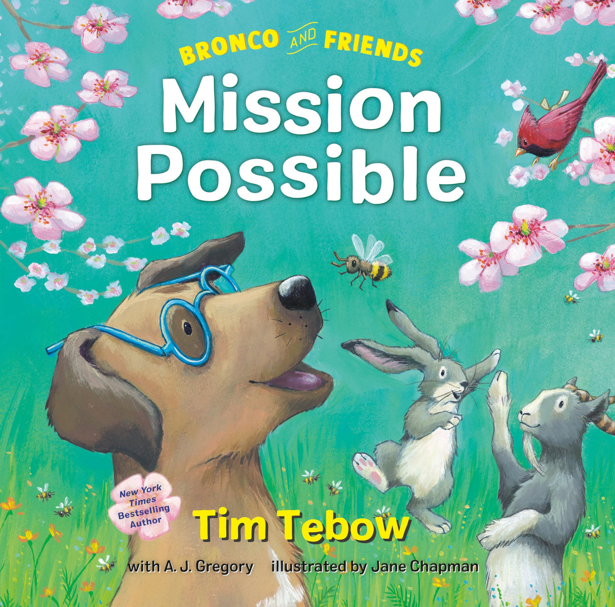 Bronco and Friends: Mission Possible: 2