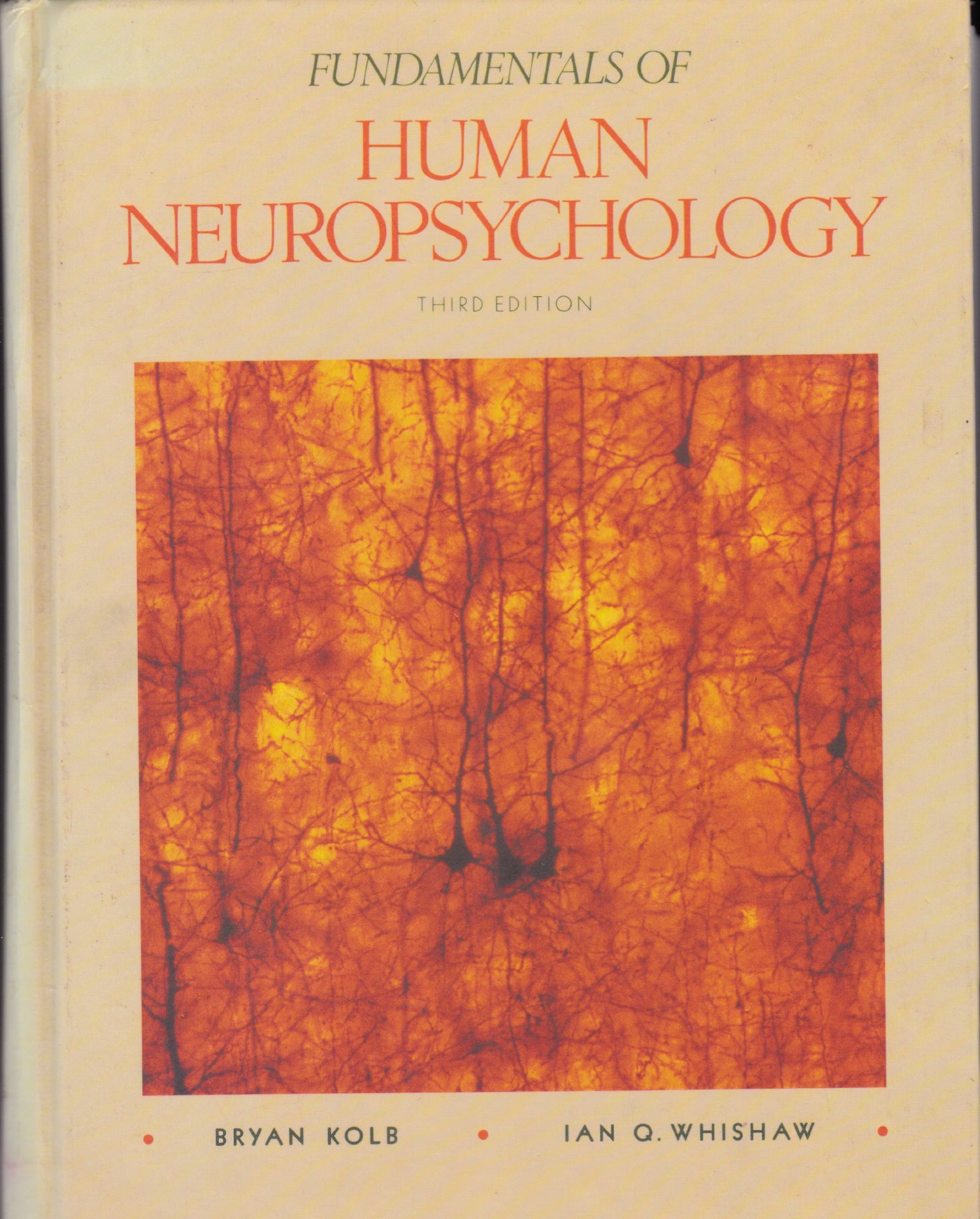 Fundamentals of Human Neuropsychology