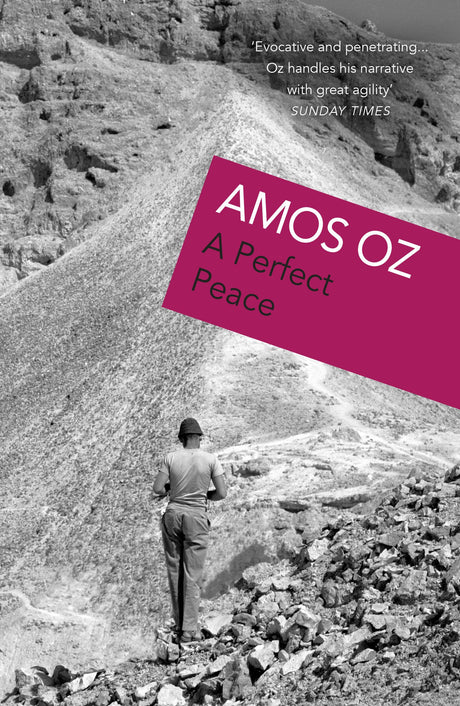 A Perfect Peace - Retail Maharaj