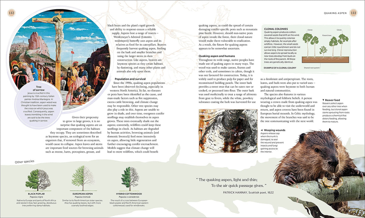 The Tree Book: The Stories, Science, and History of Trees