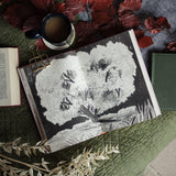 The Bell Jar: The Illustrated Edition