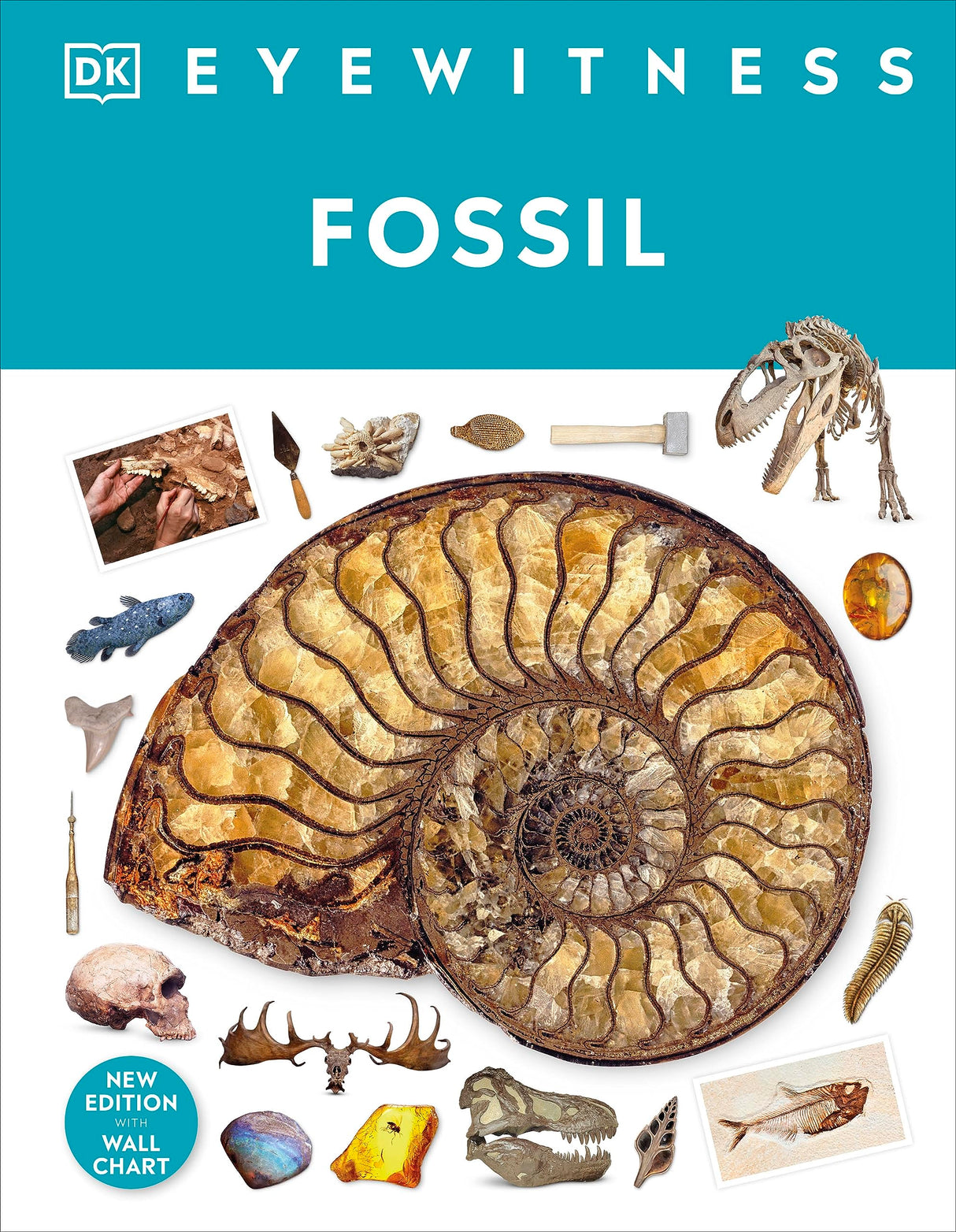 Fossil (Eyewitness) (DK Eyewitness)
