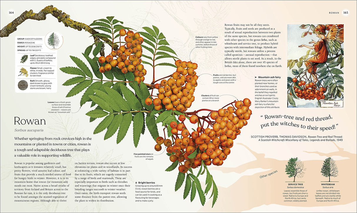 The Tree Book: The Stories, Science, and History of Trees