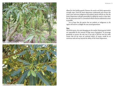 Flora of the Southern Western Ghats and Palnis - Retail Maharaj