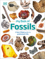My Book of Fossils