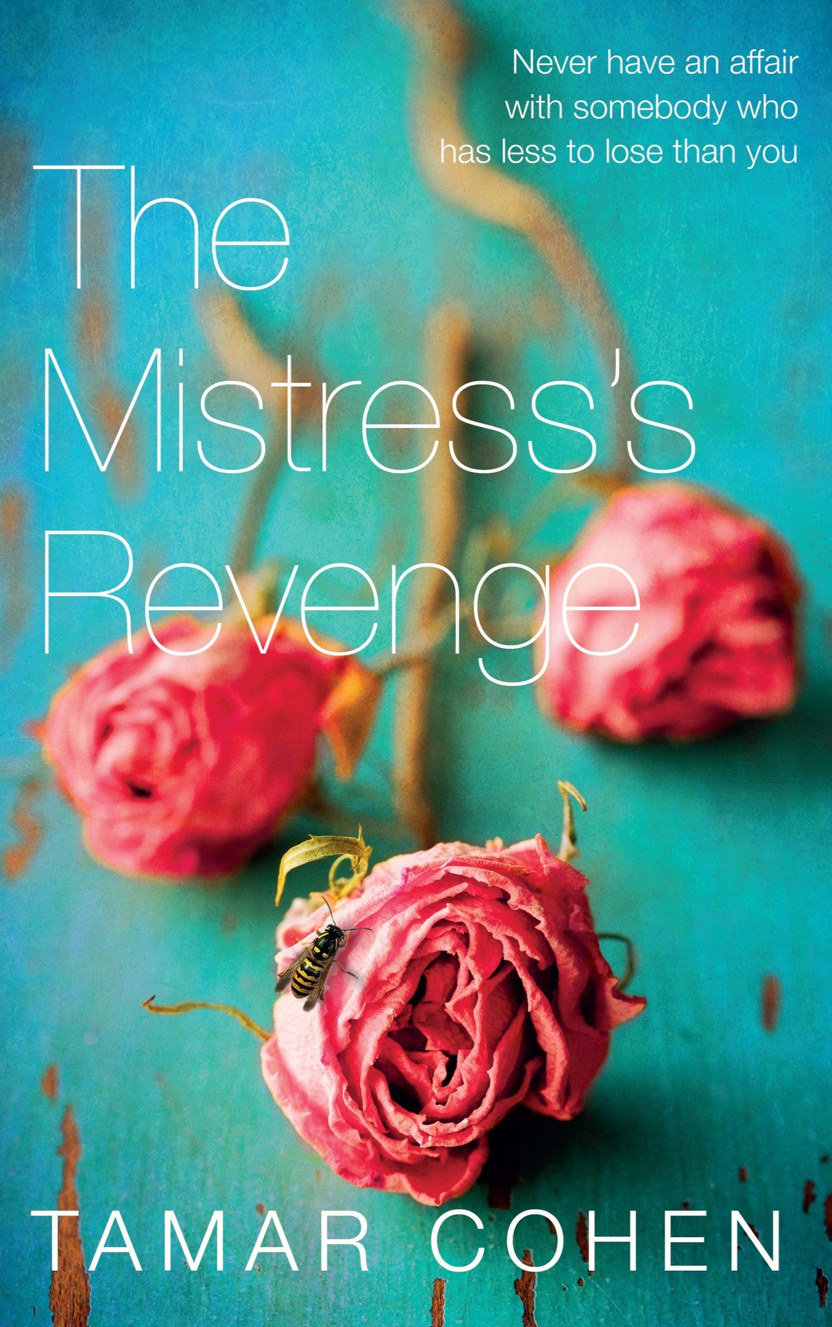 The Mistress's Revenge