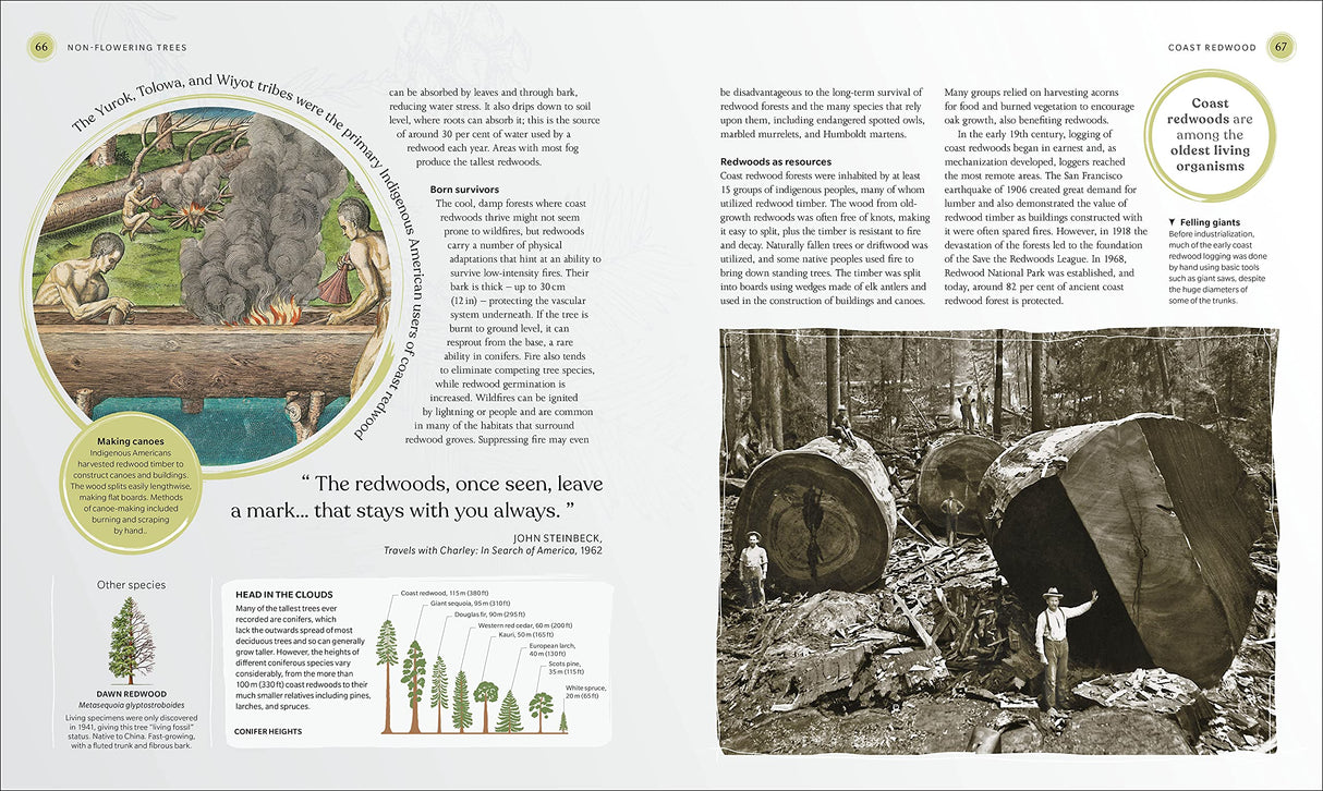 The Tree Book: The Stories, Science, and History of Trees
