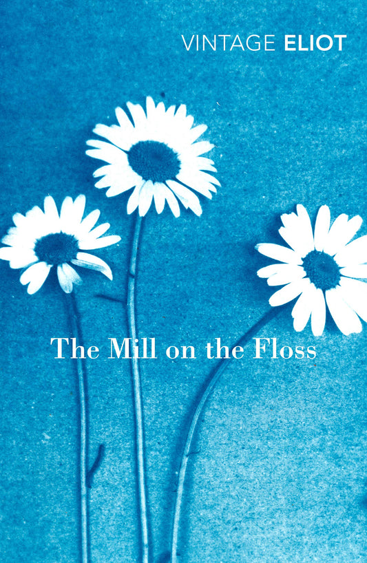 Mill on the Floss, The (Vintage Classics)