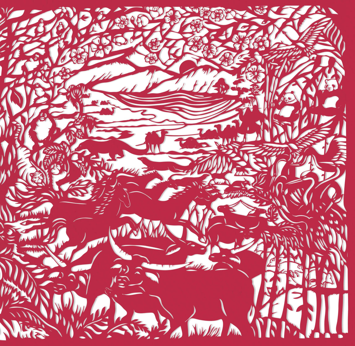 Animal Camouflage (Search & Find) - Retail Maharaj