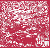 Animal Camouflage (Search & Find) - Retail Maharaj