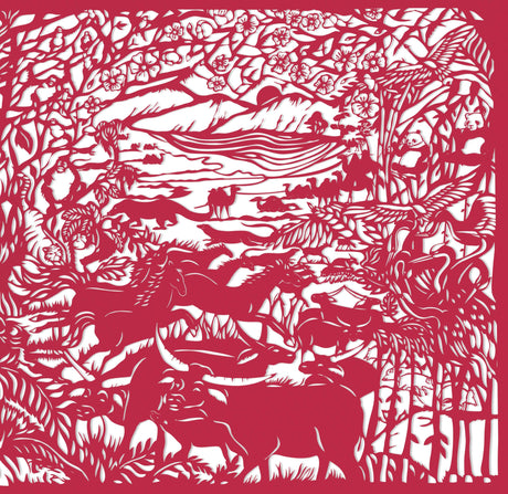 Animal Camouflage (Search & Find) - Retail Maharaj
