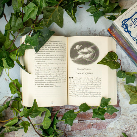 THE LAND OF STORIES : AN AUTHOR'S ODYSSEY: 5 - Retail Maharaj