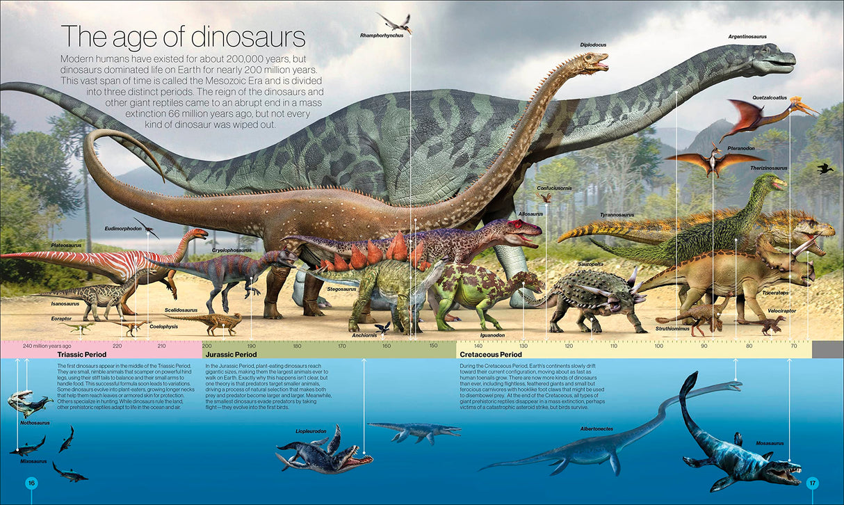 Smithsonian: Timelines of Everything
