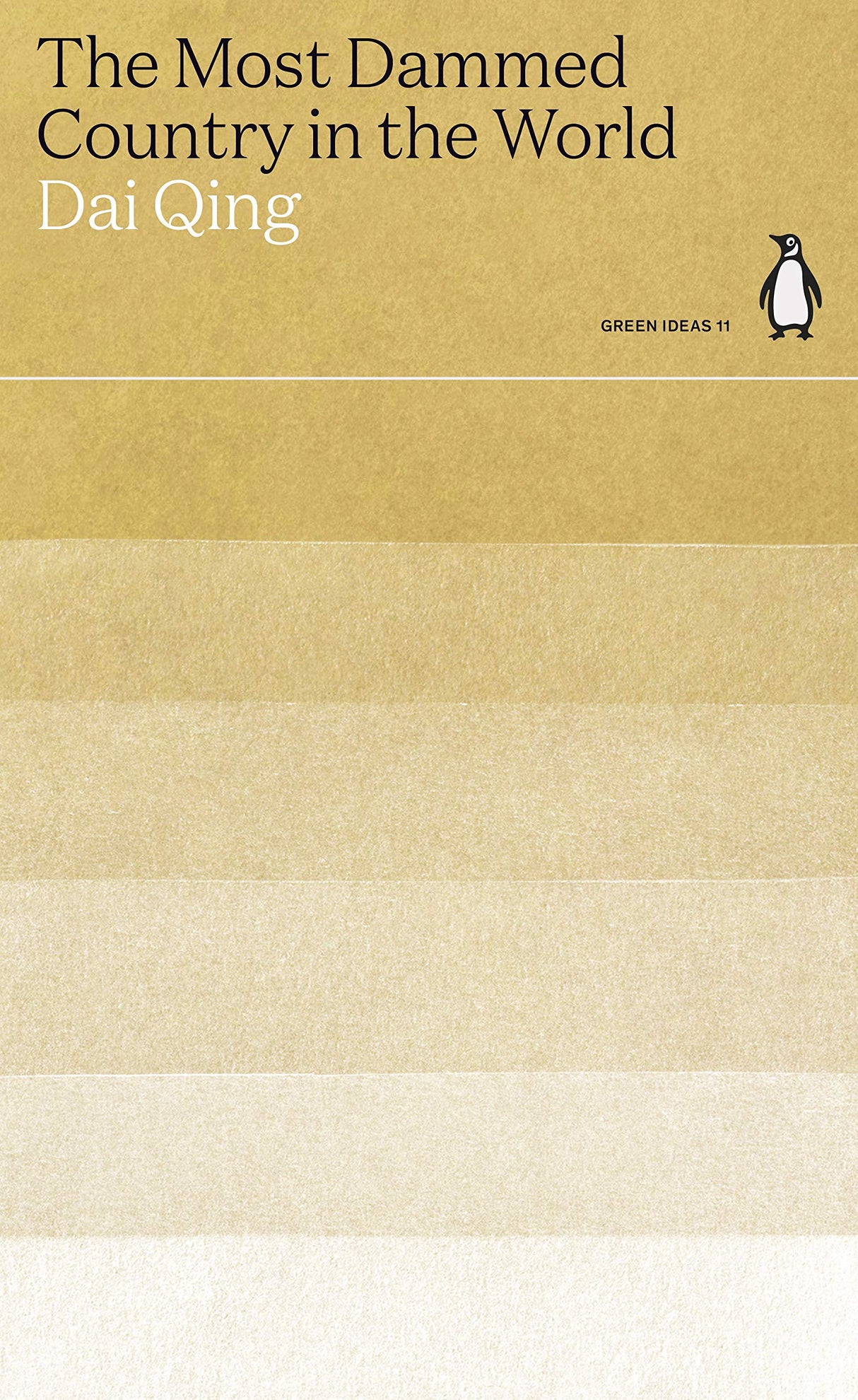 The Most Dammed Country in the World - Retail Maharaj