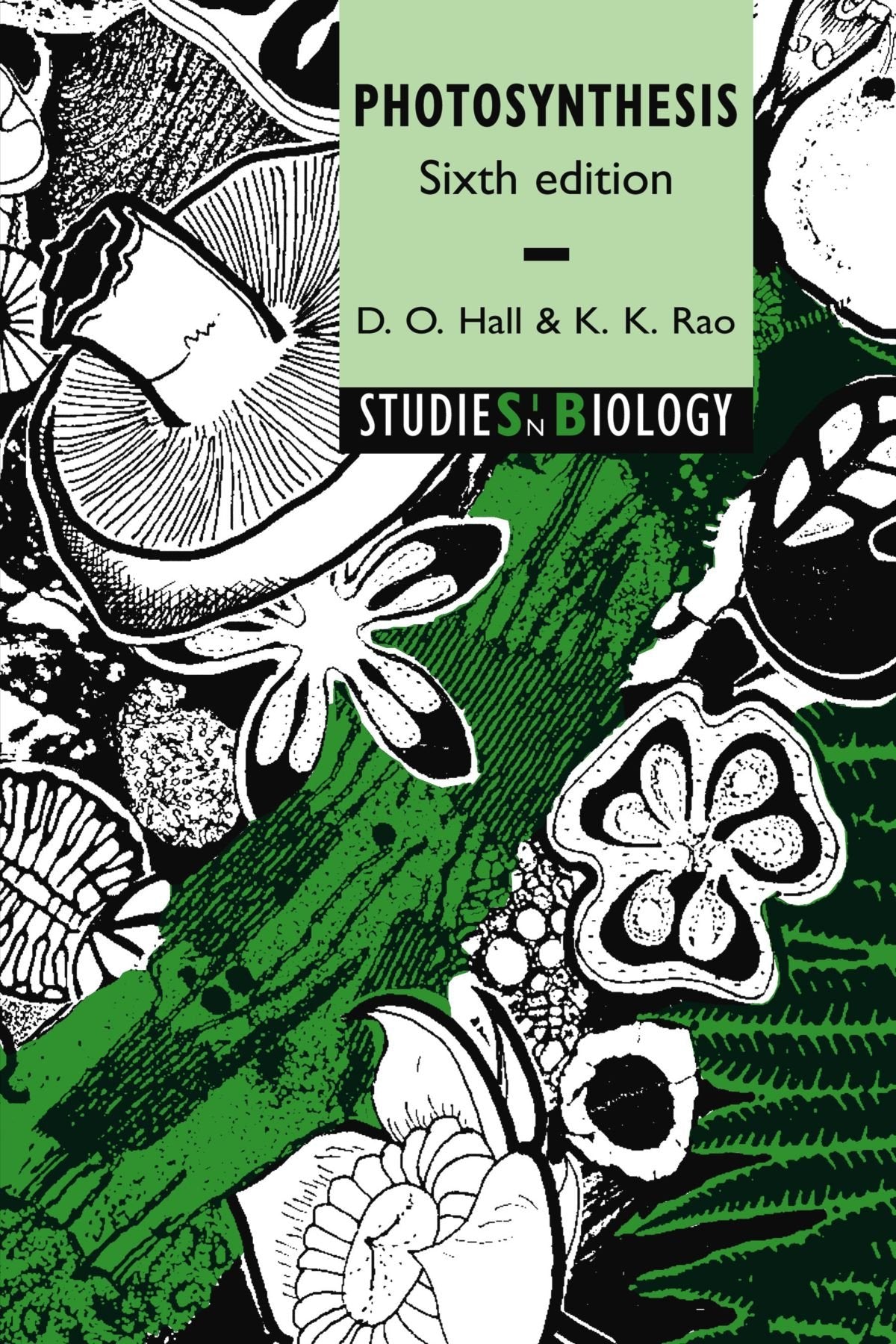 Photosynthesis (Studies in Biology)
