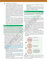 INDERBIR SINGH'S HUMAN EMBRYOLOGY