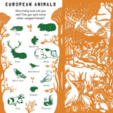 Animal Camouflage (Search & Find) - Retail Maharaj