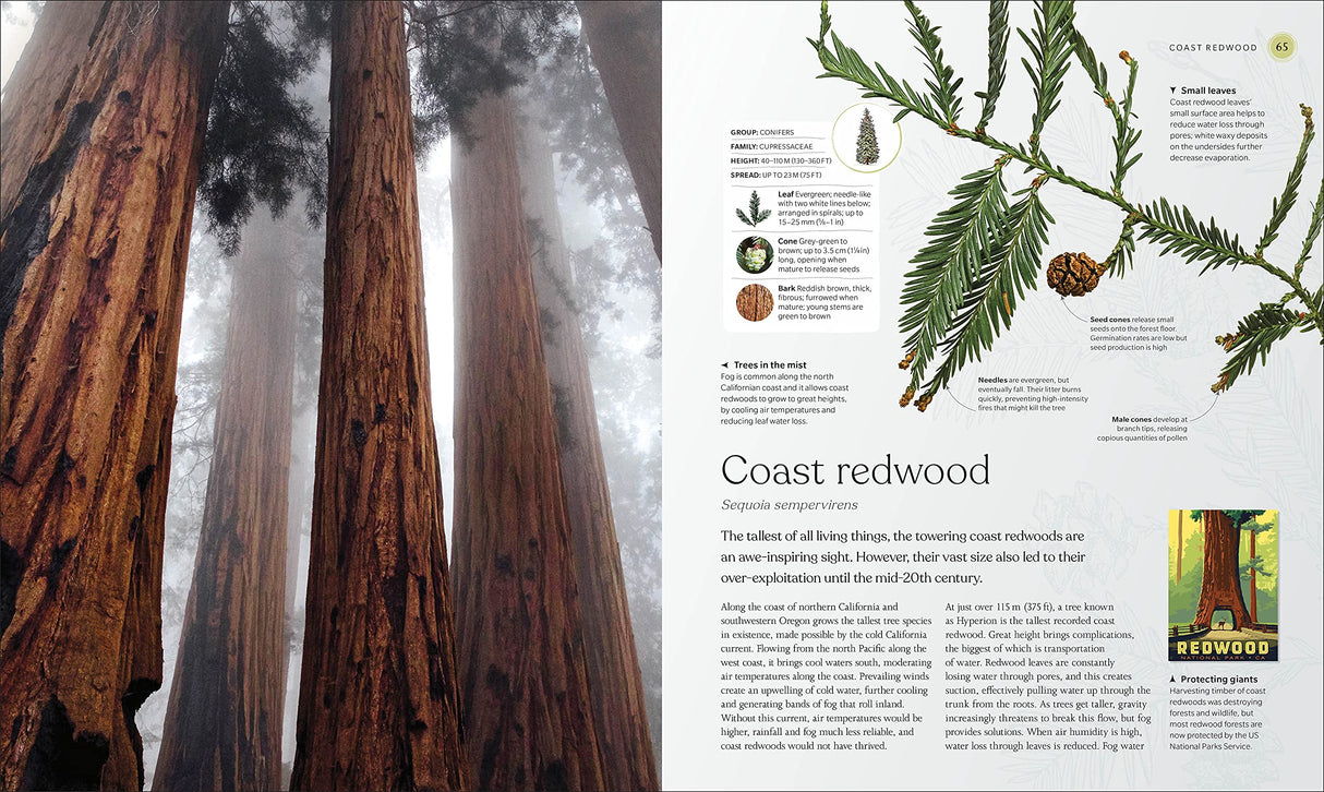 The Tree Book: The Stories, Science, and History of Trees