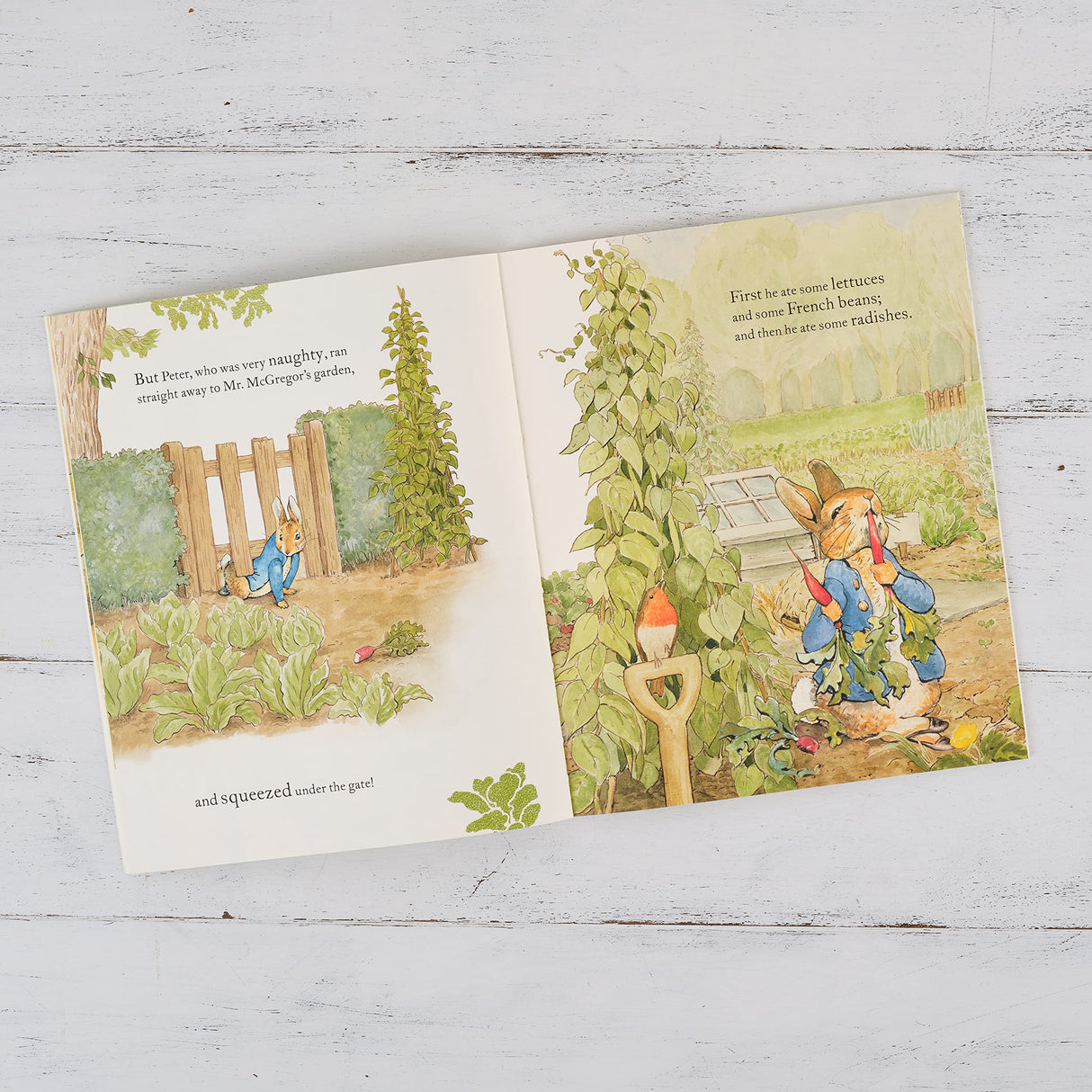 The Tale of Peter Rabbit Picture Book